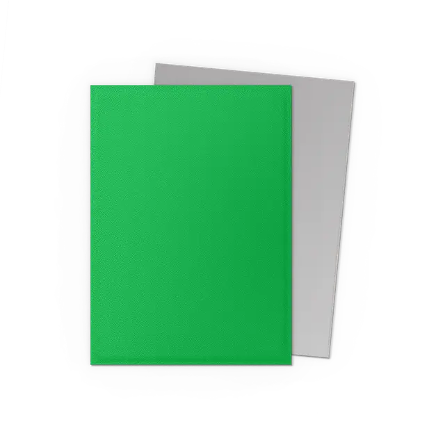 Dragon Shield Standard -Apple Green & Silver - Matte Dual Sleeves - Image 2